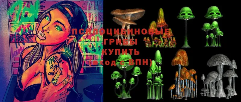 маркетплейс Telegram  закладки  Павловский Посад  Галлюциногенные грибы MAGIC MUSHROOMS  hydra маркетплейс 